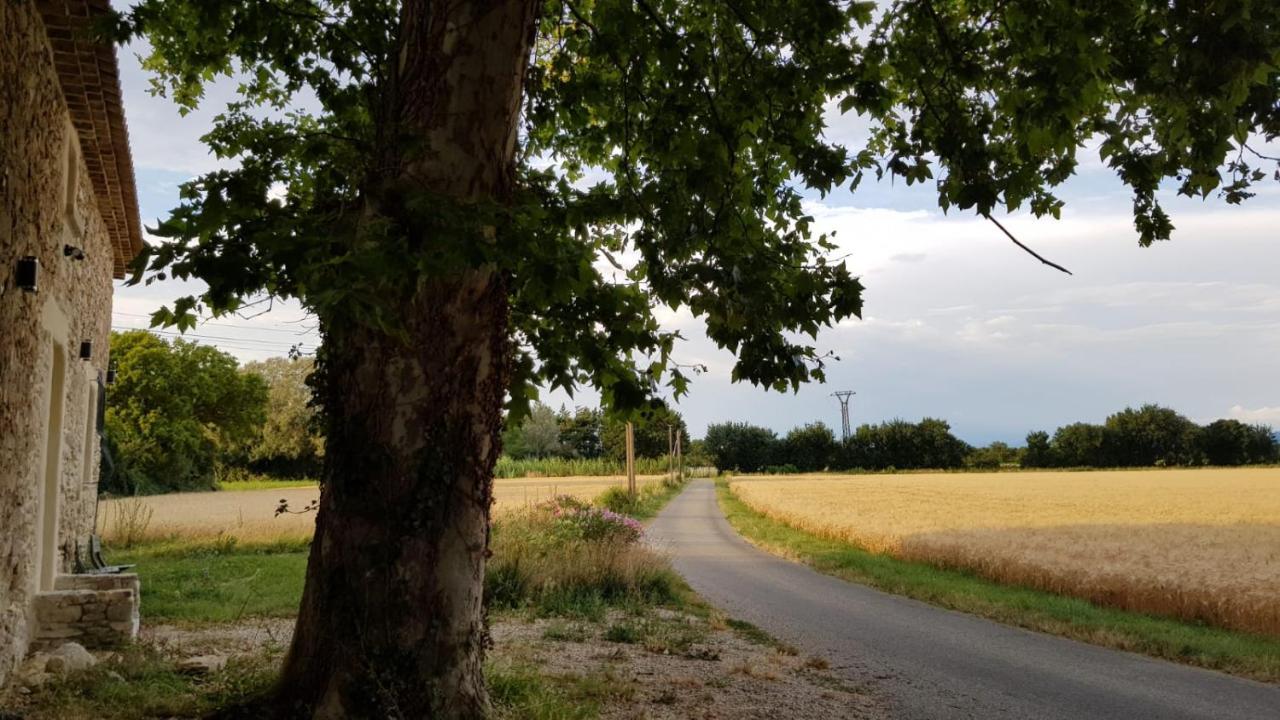 Maison Au Calme En Campagne Climatisee Caderousse Exterior foto
